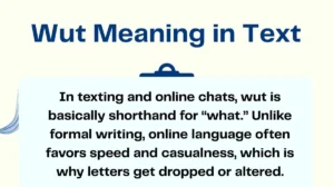 Wut Meaning in Text