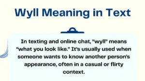 Wyll Meaning in Text